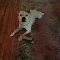 Whitfield & Eddy Law - Photo 4 - Car repair in Des Moines, IA, Des Moines