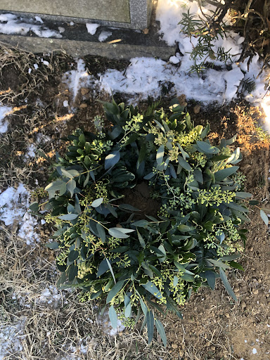 Florist «Beachwood Florist», reviews and photos, 325 New Haven Ave, Milford, CT 06460, USA