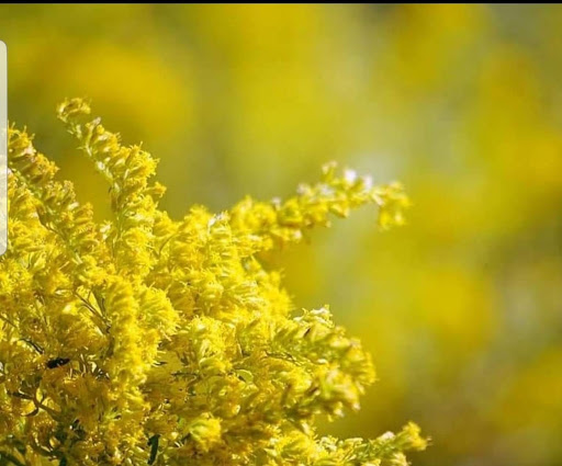 Municipality «Country Lakes Park», reviews and photos, 1835 N Aurora Rd, Naperville, IL 60563, USA