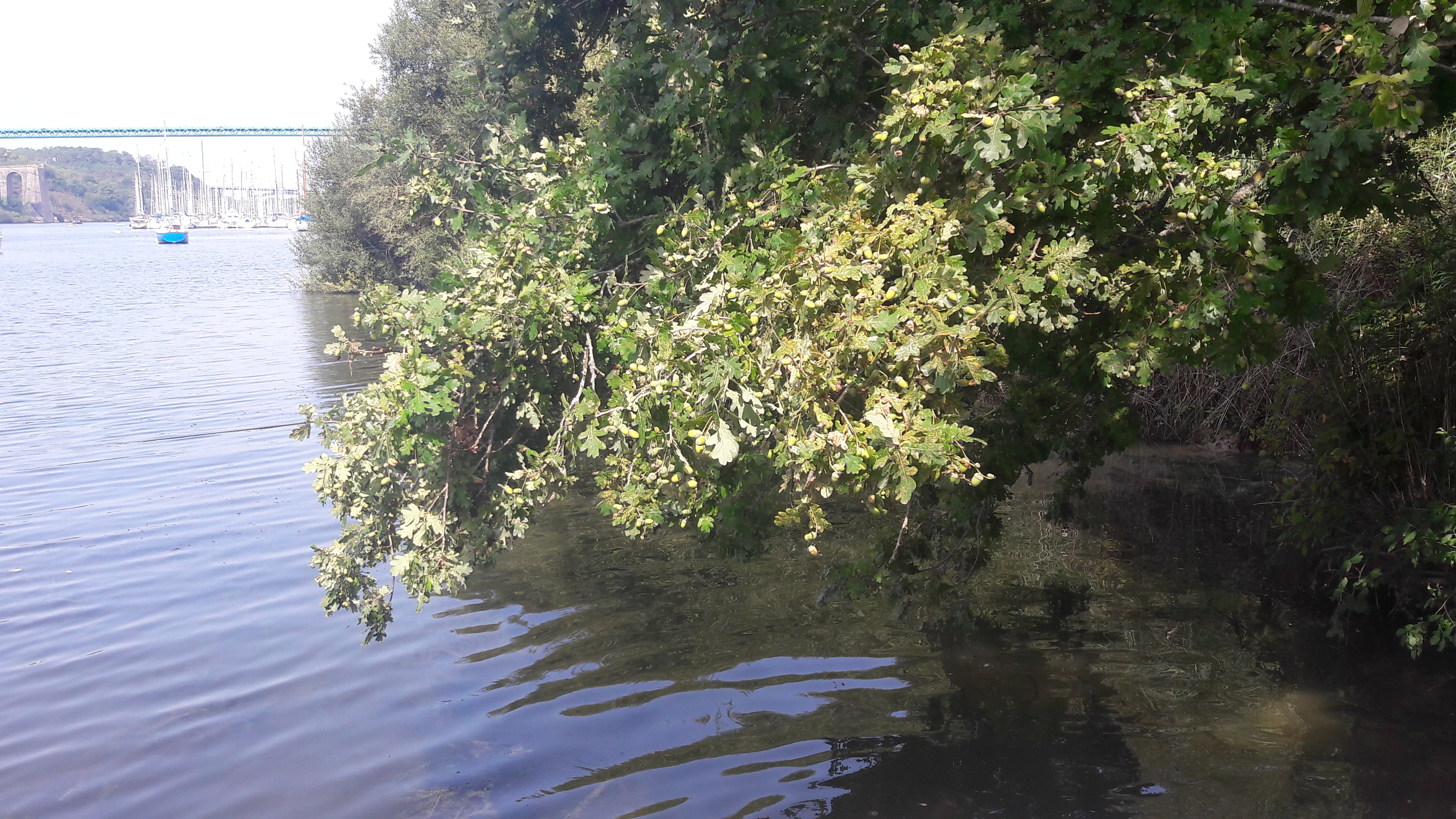 Photo n° 9 de l'avis de Maeva.o fait le 21/09/2017 à 18:43