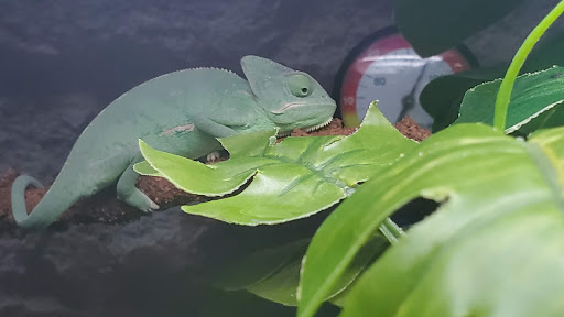 Pet Supply Store «Petco Animal Supplies», reviews and photos, 2621 MacArthur Rd, Whitehall, PA 18052, USA