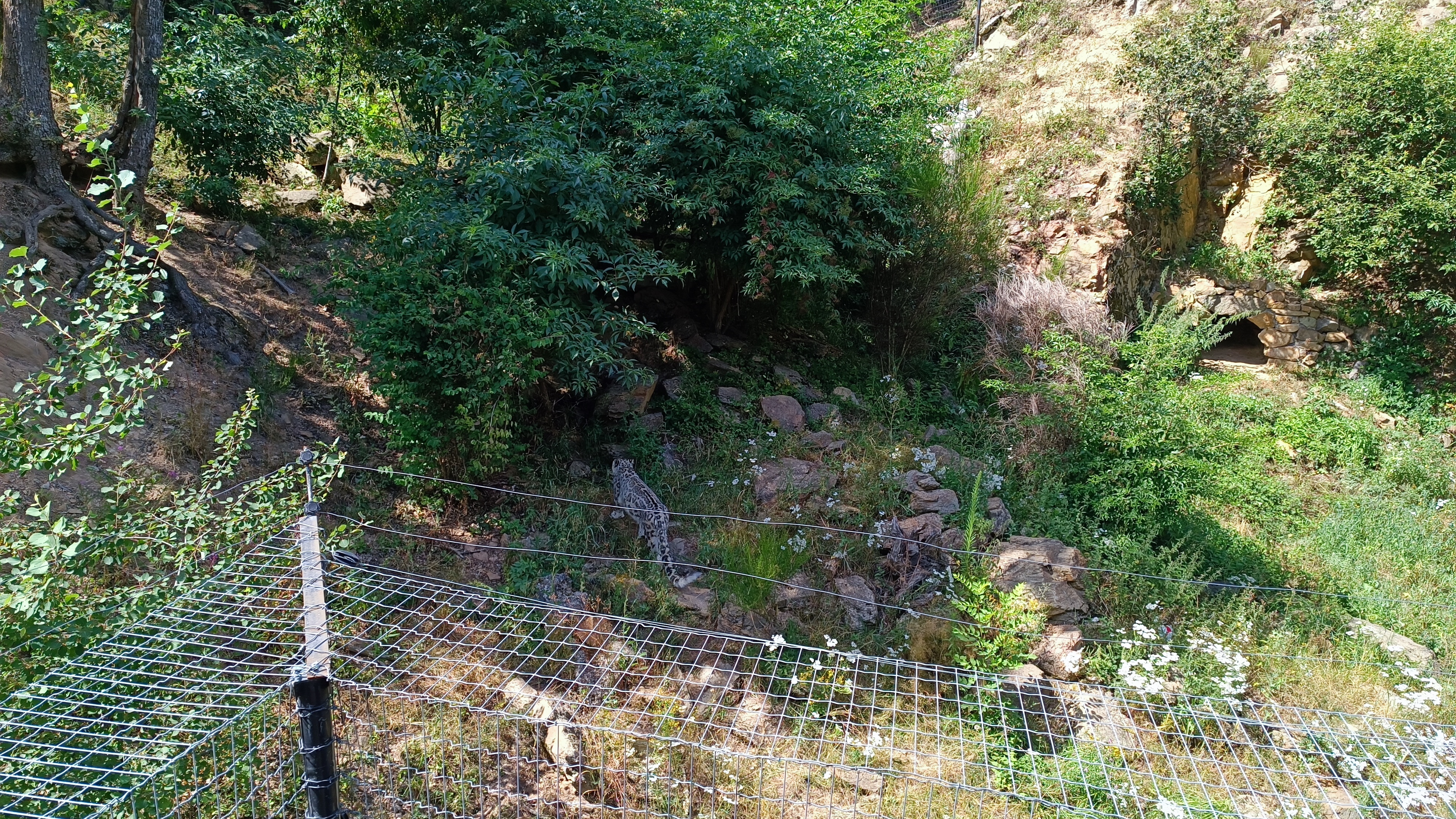Photo n° 2 de l'avis de Julien.u fait le 05/08/2023 à 21:48