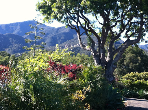 Paige Kaye, Santa Barbara Broker image