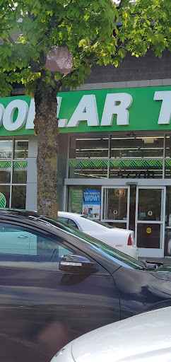 Dollar Store «Dollar Tree», reviews and photos, 8111 Steilacoom Blvd SW, Lakewood, WA 98498, USA