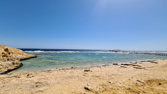 Solymar Reef Marsa
