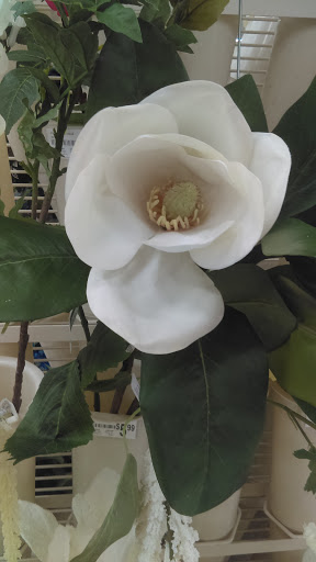 Craft Store «Michaels», reviews and photos, 2799 NY-112, Medford, NY 11763, USA