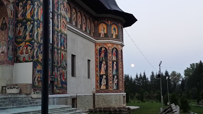 DJ155C, Mănăstirea Neamț 617502, România