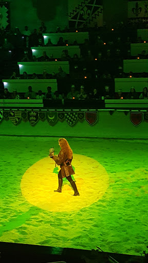 Dinner Theater «Medieval Times Dinner & Tournament», reviews and photos, 5900 Sugarloaf Pkwy #517, Lawrenceville, GA 30043, USA