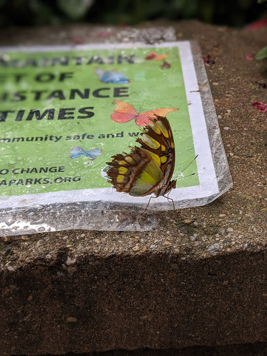 Tourist Attraction «Peck Butterfly House», reviews and photos, 4038 Kaneville Rd, Geneva, IL 60134, USA