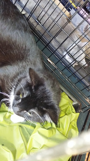 Pet Store «Fussy Friends Pet Supplies», reviews and photos, 148 Newark Ave, Jersey City, NJ 07302, USA