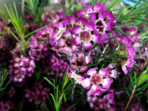 Florist «Flowers With Grace», reviews and photos, 9253 Magnolia Ave, Riverside, CA 92503, USA