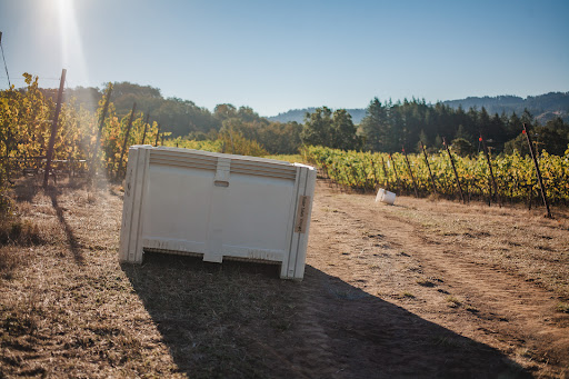 Vineyard «Keeler Estate Vineyard», reviews and photos, 5100 SE Rice Ln, Amity, OR 97101, USA