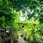 Photo n°1 de l'avis de Stefan.� fait le 08/08/2021 à 14:19 sur le  Café Waldsee à Hamminkeln