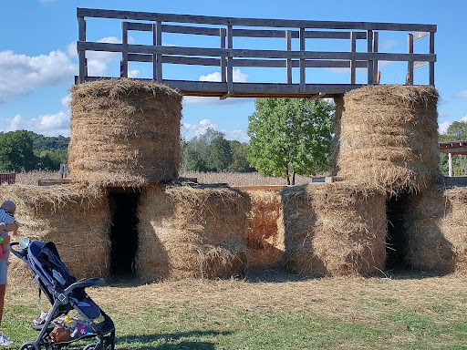 Miniature Golf Course «Christian Way Farm & Mini Golf», reviews and photos, 19590 Linville Rd, Hopkinsville, KY 42240, USA