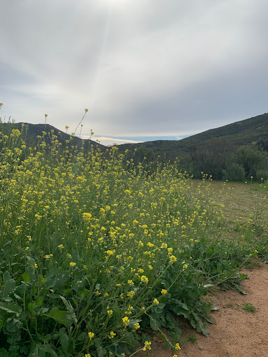 National Wildlife Refuge Spring Valley