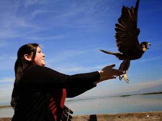 Wildlife Center of Silicon Valley