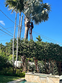 Gunning Enterprise - Photo 2 - Car repair in , Fort Lauderdale