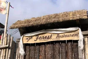 Sacred Residency/ The Forest restaurant image