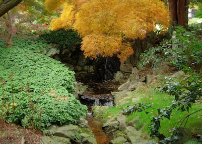 Japanese Hill & Water Garden