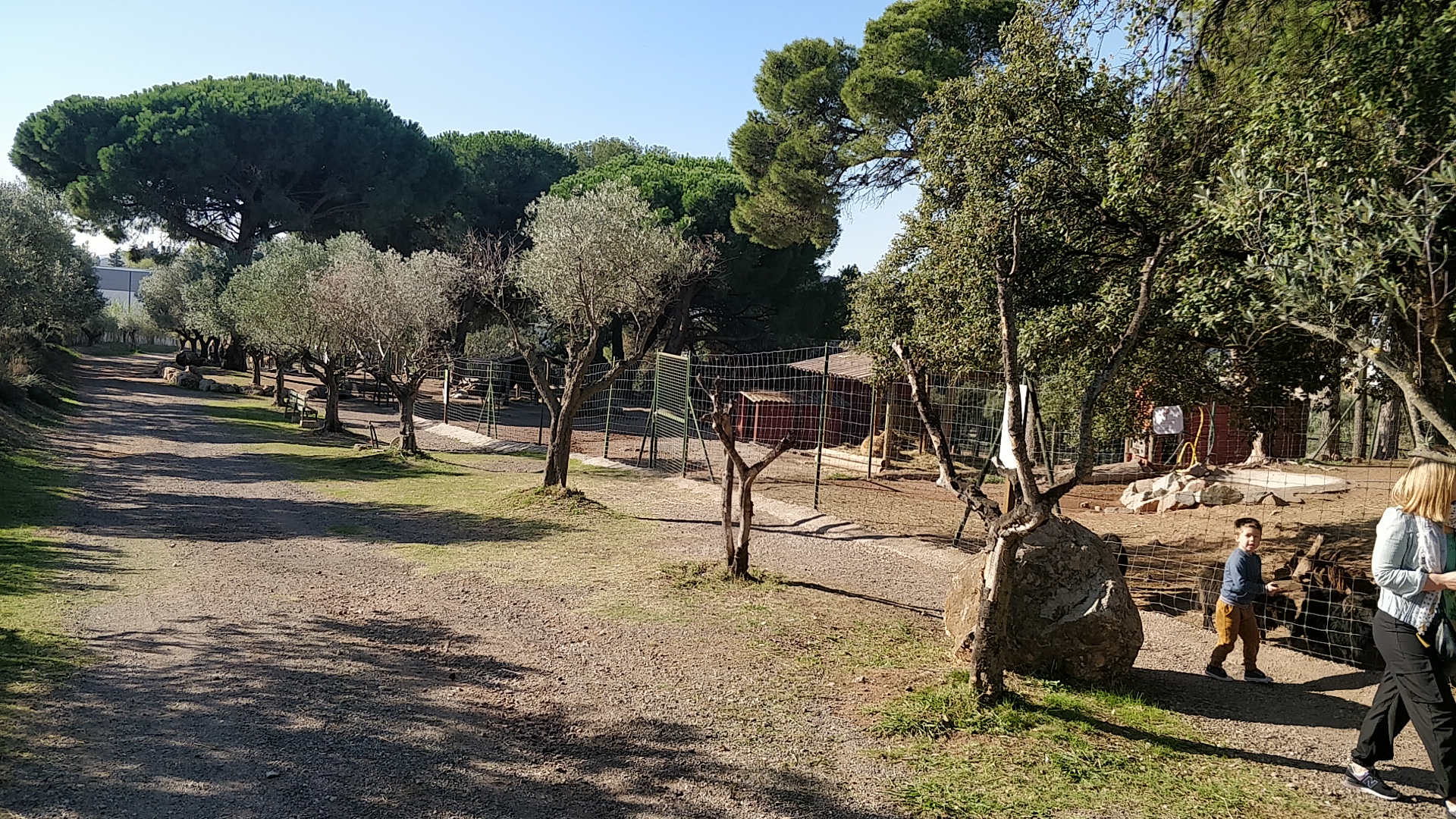 Photo n° 14 de l'avis de Mike.a fait le 25/10/2021 à 08:55