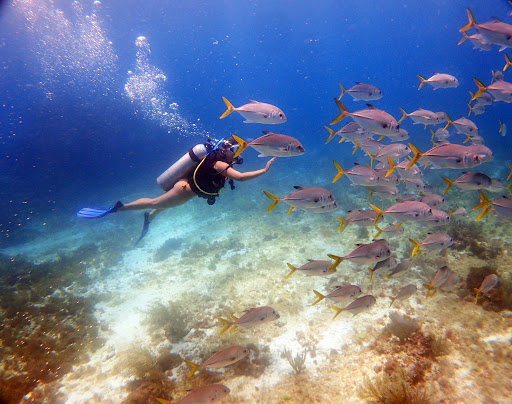 Go Diving Cancun