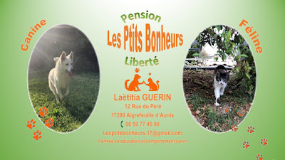 Les Ptits Bonheurs - Pension canine et féline à Aigrefeuille-d'Aunis