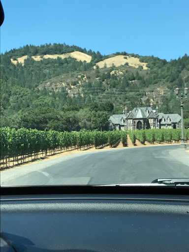 Vineyard «Ledson Winery & Historic Castle Vineyards», reviews and photos, 7335 CA-12, Kenwood, CA 95409, USA