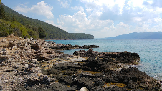 Yalçın Sivrikaya Koyu