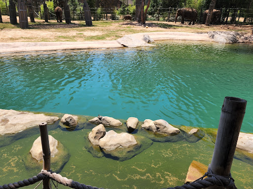 Zoo «Fort Worth Zoo», reviews and photos, 1989 Colonial Pkwy, Fort Worth, TX 76110, USA