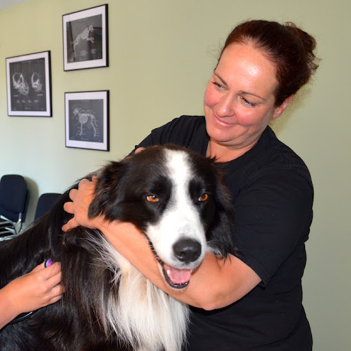 Tierarztpraxis Tanja Hannemann unter Kaltennordheim, Thüringen