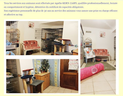 pension pour chats Andlau à Andlau