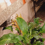 Photo n° 28 de l'avis de litchi.e fait le 29/04/2023 à 20:50 pour Basilique Notre-Dame de Fourvière à Lyon