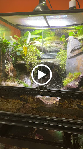 Pet Store «The Pet Works», reviews and photos, 407 4th Ave E, Olympia, WA 98501, USA