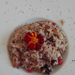 Photo n°1 de l'avis de Sissi.s fait le 25/09/2017 à 21:12 sur le  Old Grizzly à Aymavilles