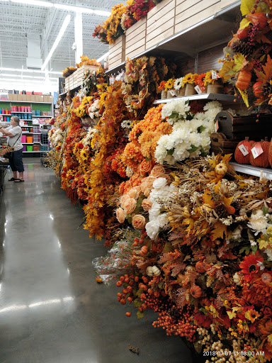 Craft Store «Michaels», reviews and photos, 217 Indian Lake Blvd #850, Hendersonville, TN 37075, USA