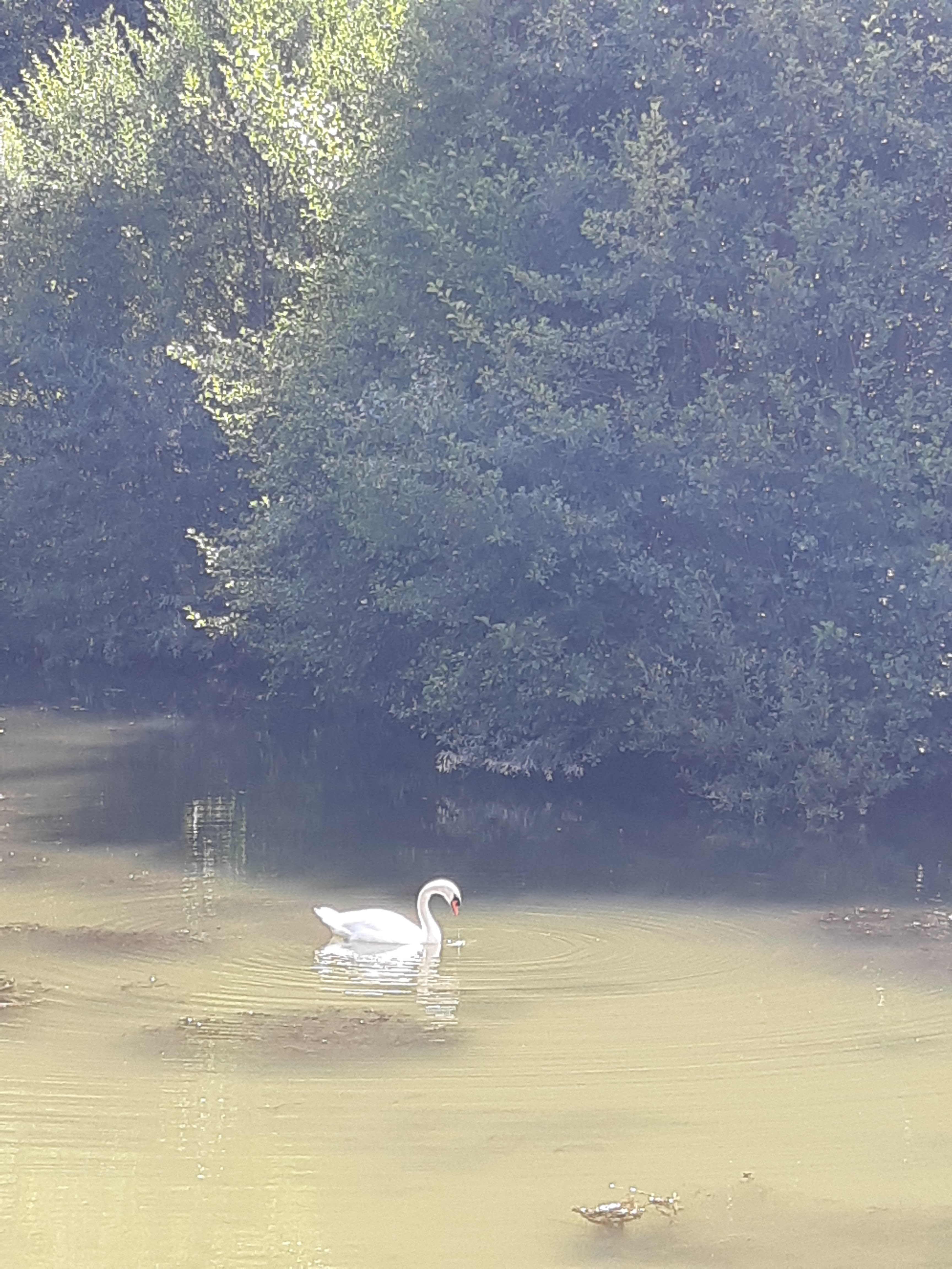 Photo n° 26 de l'avis de Tina.. fait le 08/09/2019 à 11:30