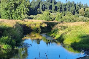 Cougar Creek Trail image