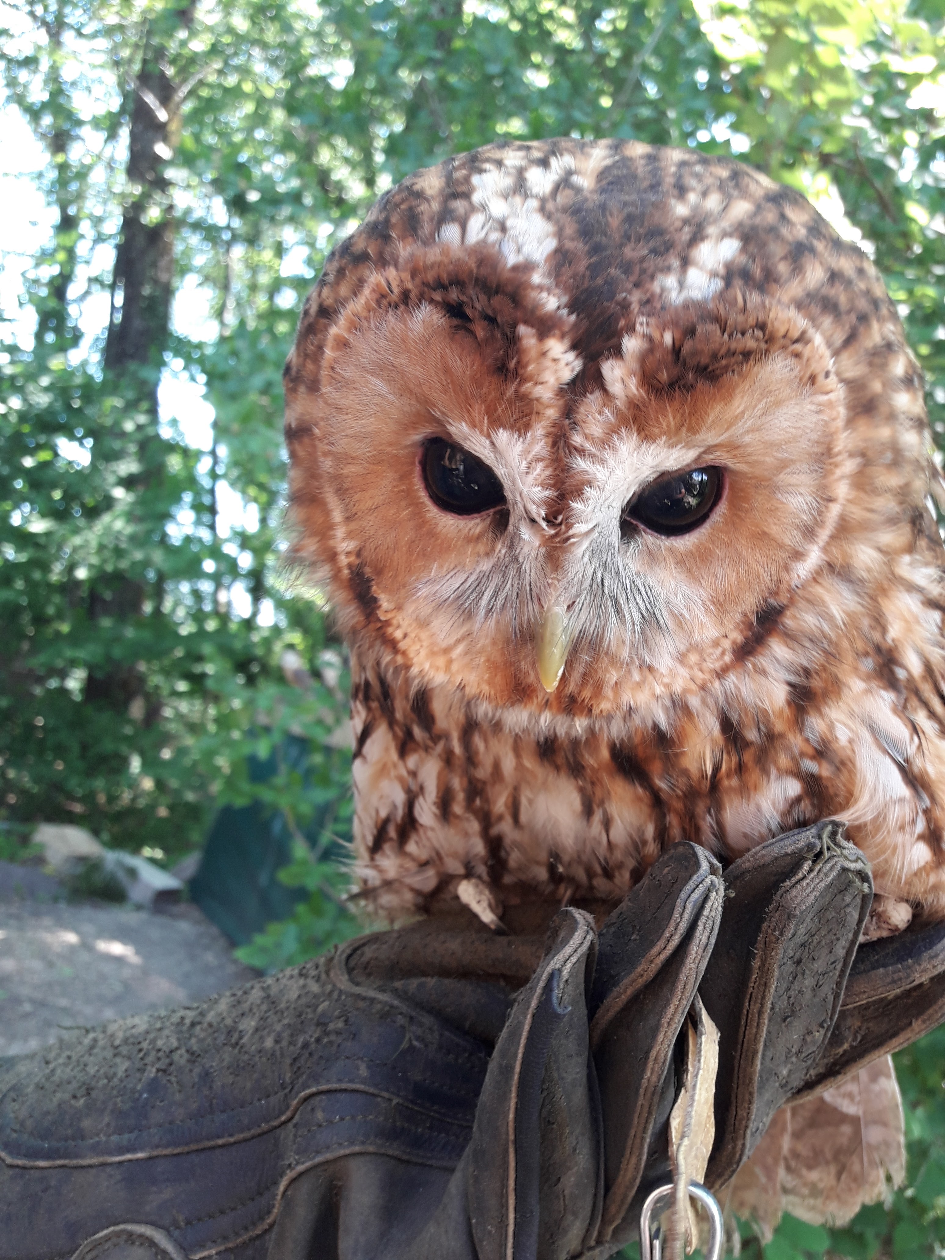 Photo n° 8 de l'avis de Christophe.l fait le 01/07/2018 à 13:30