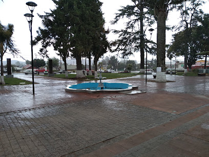 Plaza Dr. Domingo Montebruno