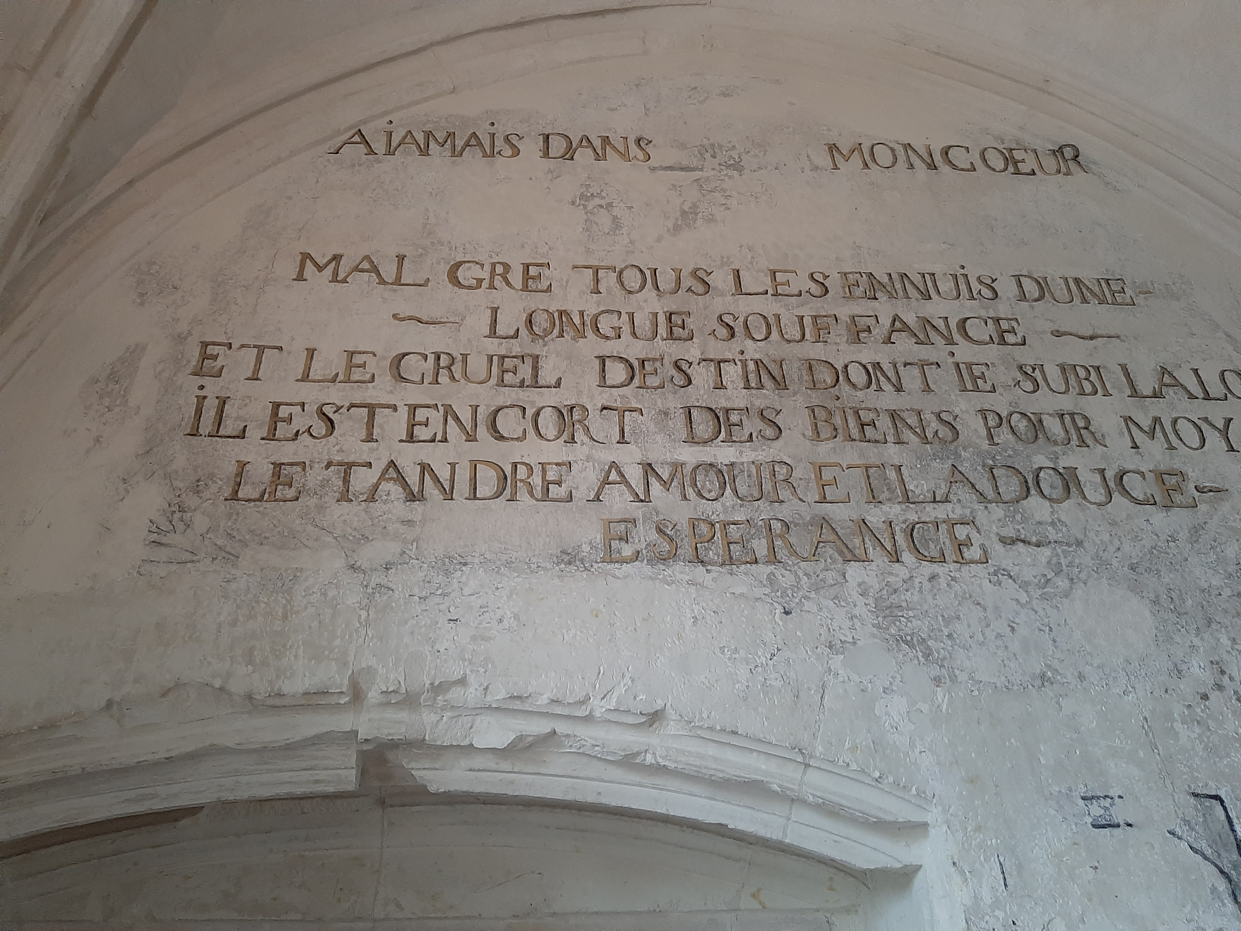 Photo n° 37 de l'avis de Olive.. fait le 26/04/2022 à 19:12