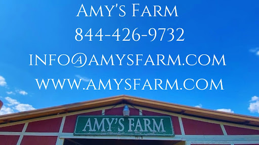 Amy's Farm