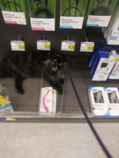 Drug Store «Bartell Drugs Queen Anne Store», reviews and photos, 600 1st Ave N, Seattle, WA 98109, USA