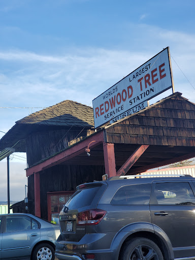 Auto Repair Shop «Redwood Tree Service Station», reviews and photos, 859 N State St, Ukiah, CA 95482, USA