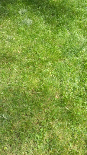 Park «Thrall Park», reviews and photos, 42-21 Grove St, Middletown, NY 10940, USA