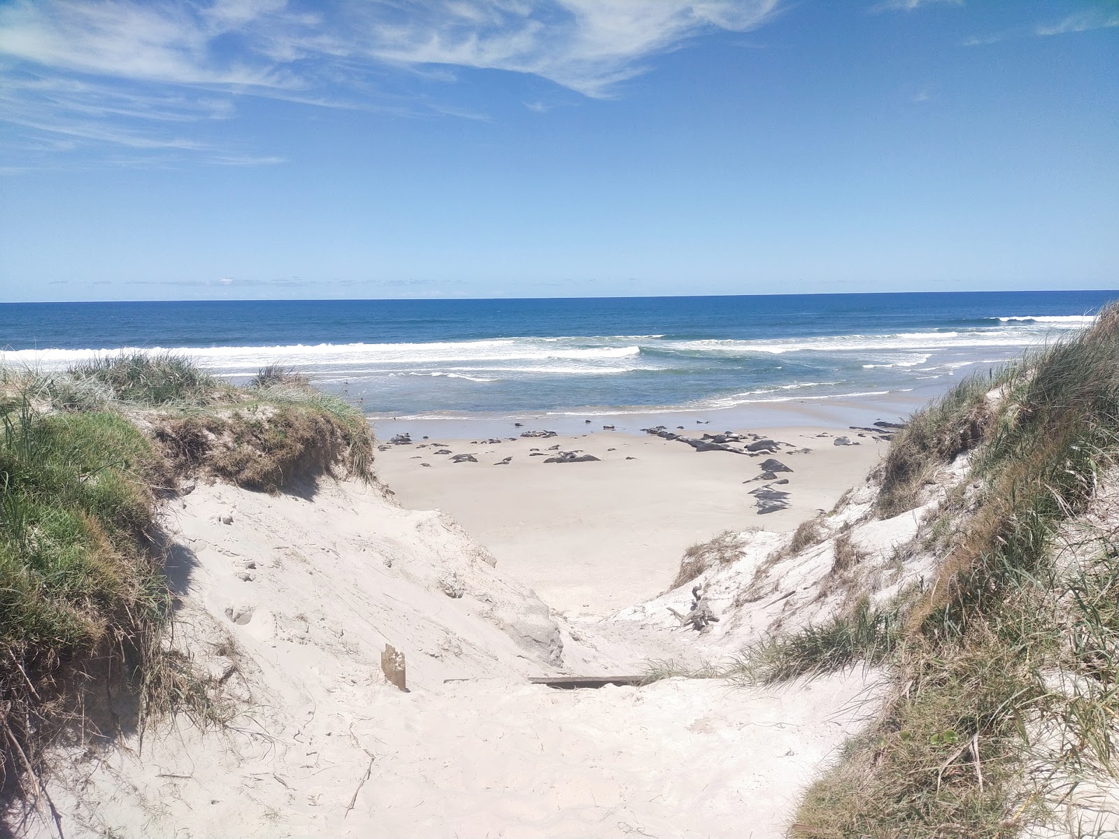 Foto av Broadwater Beach beläget i naturområde