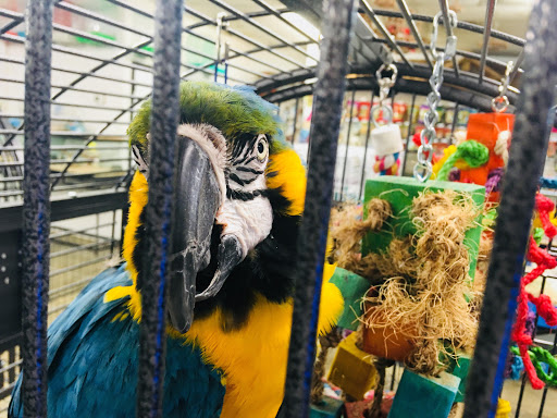 Pet Store «Pet World - Auburndale», reviews and photos, 3637 Havendale Blvd, Auburndale, FL 33823, USA