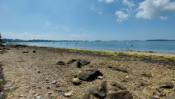 Plage de Baden'in fotoğrafı - rahatlamayı sevenler arasında popüler bir yer