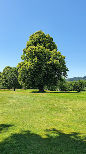 Freiburger Golfclub - Antwerpen