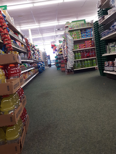 Dollar Store «Dollar Tree», reviews and photos, 6521 Sashabaw Rd, Village of Clarkston, MI 48346, USA