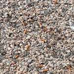 Photo n°4 de l'avis de Hélder.a fait le 02/09/2023 à 18:31 sur le  Pousada Convento Vila Viçosa à Vila Viçosa